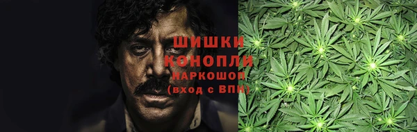шишки Алексин