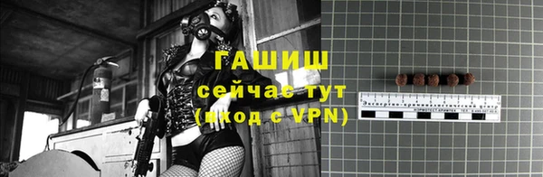 шишки Алексин
