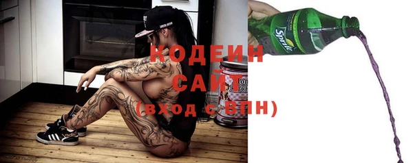 шишки Алексин
