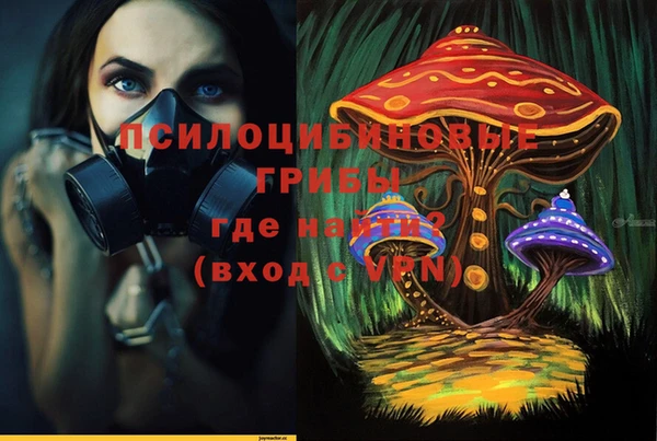 каннабис Алзамай