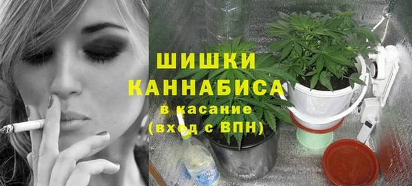 шишки Алексин