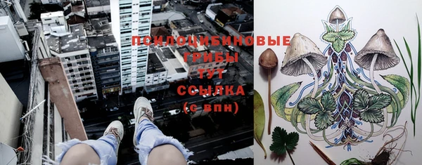 шишки Алексин
