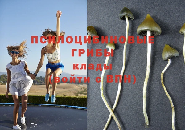 синтетический гашиш Алексеевка