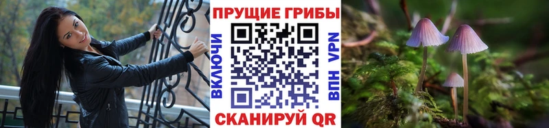 наркошоп ссылка на мегу Галлюциногенные грибы Psilocybe Лабинск